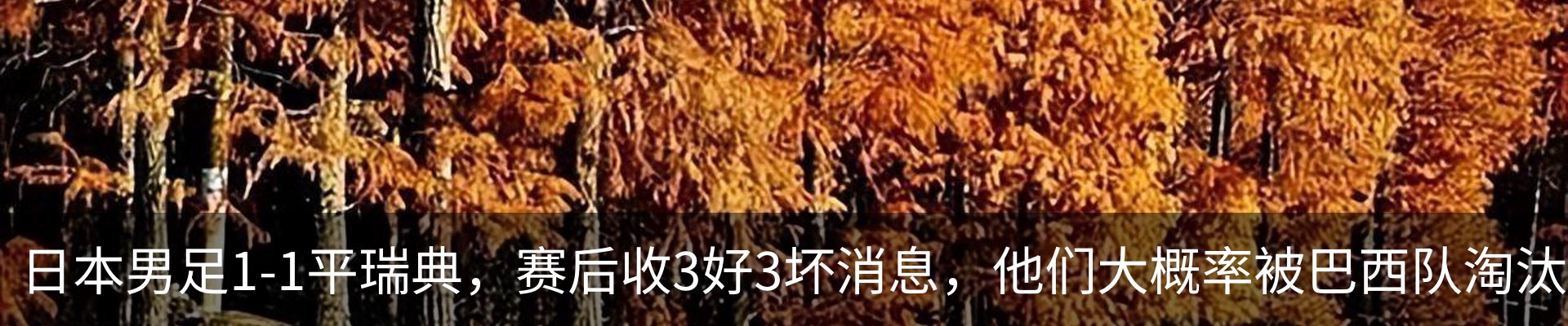 资讯中心