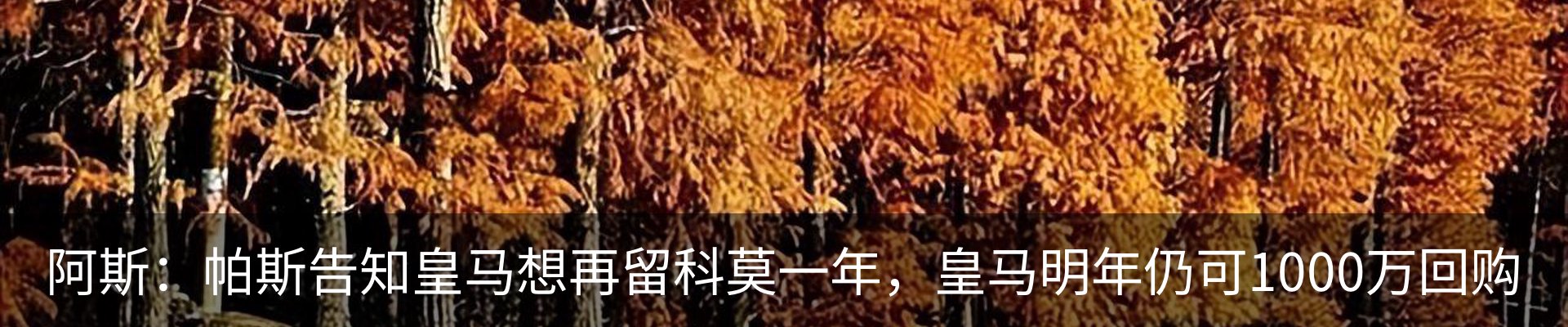 资讯中心